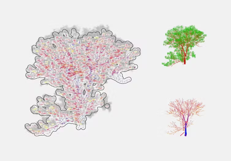 Analysed trees
