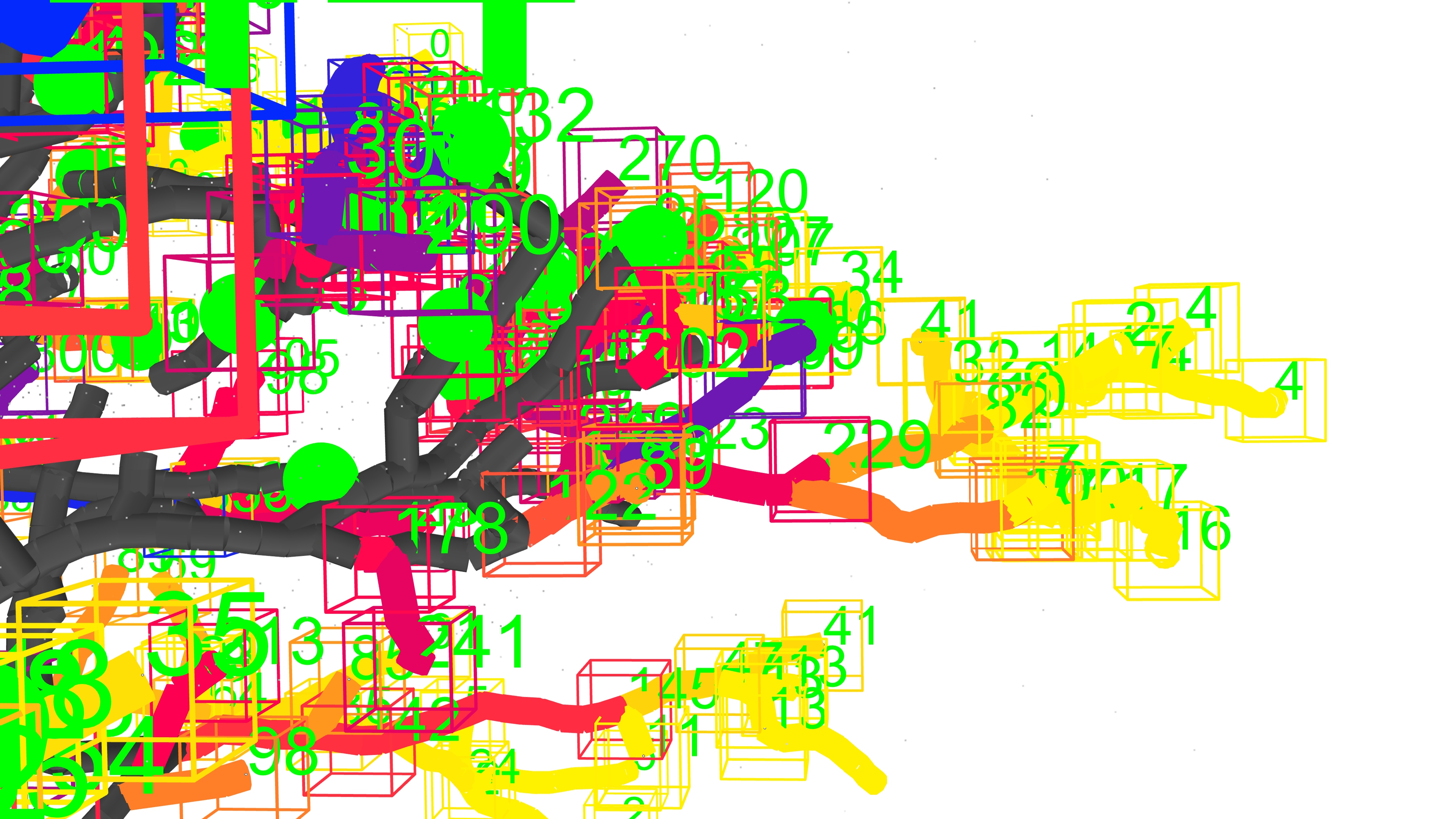 Simulation of Bird Vision